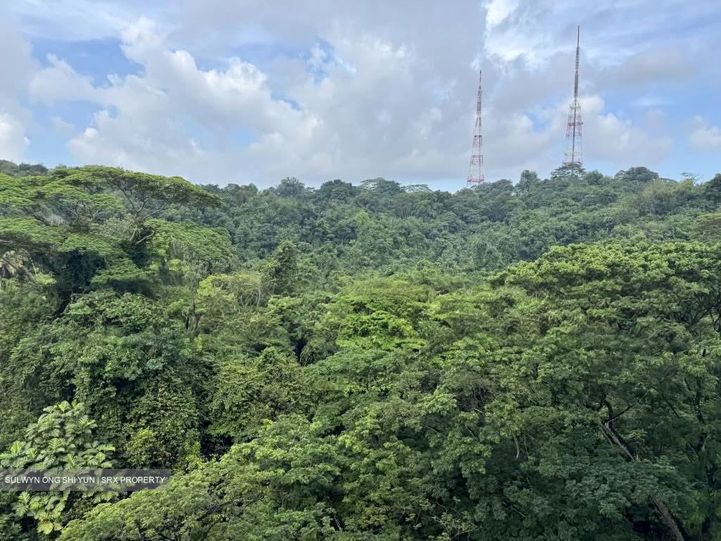 Meralodge (D23), Condominium #566573381